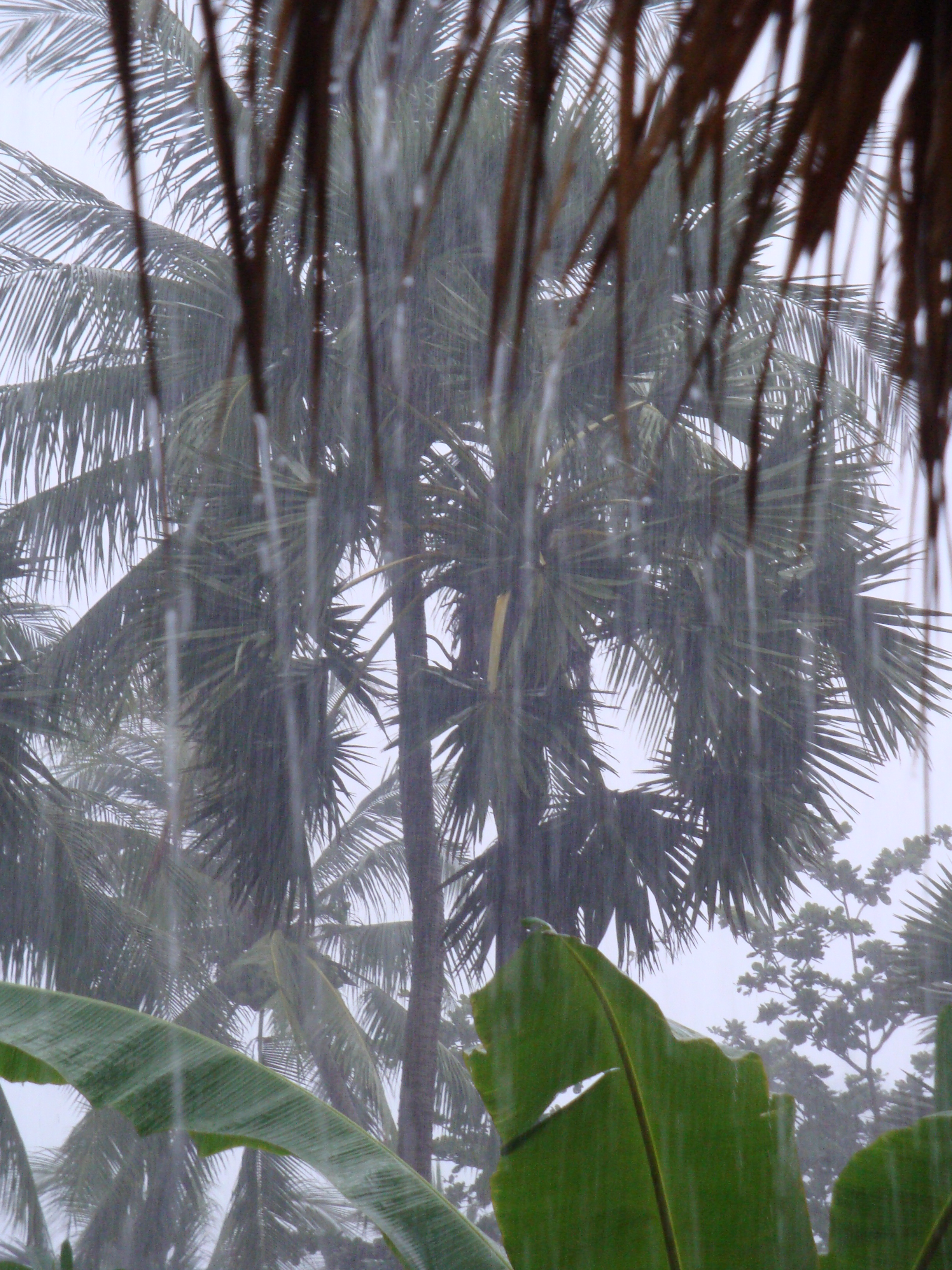 Ticket to paradise / Phuket